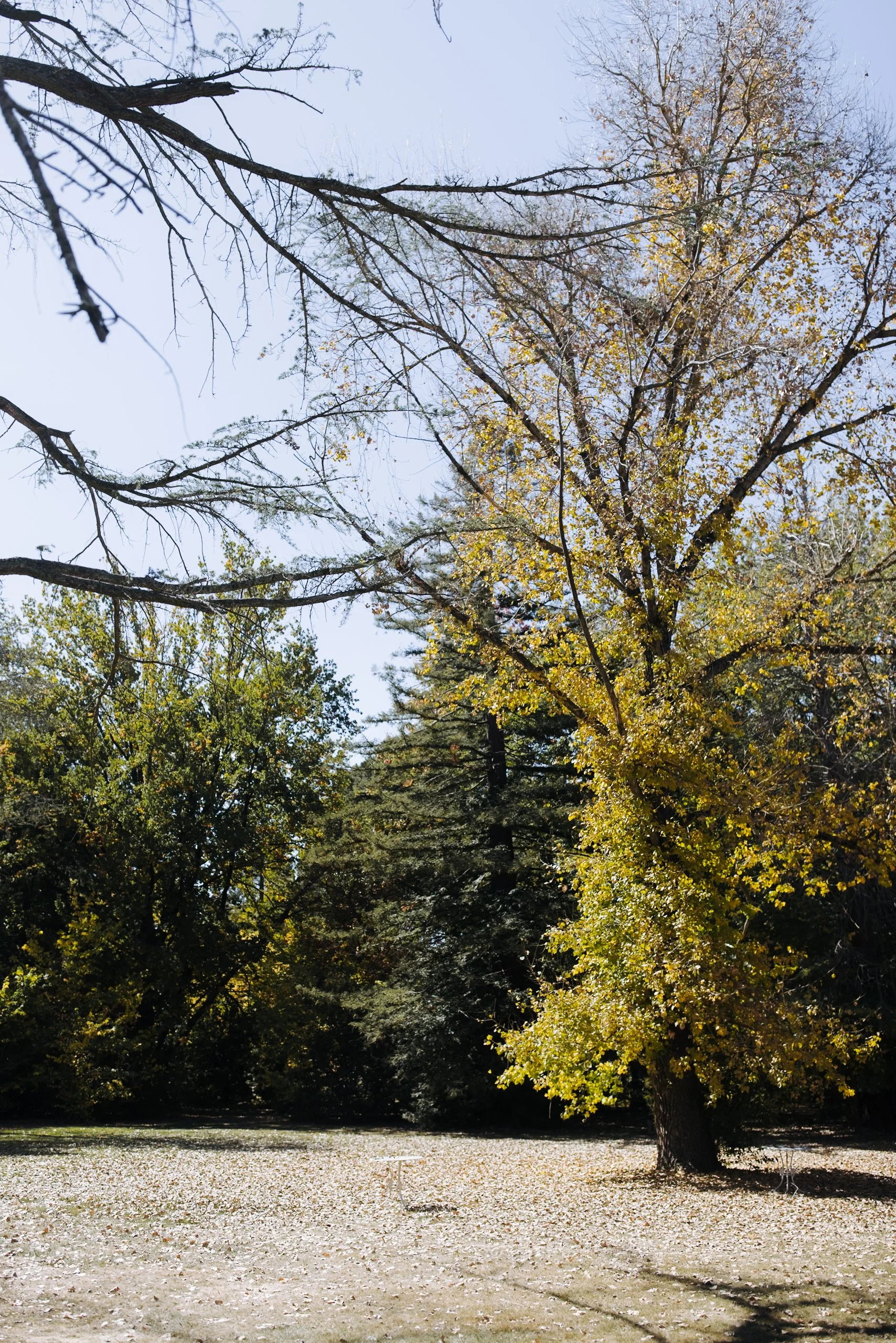 0K3A0042.jpg