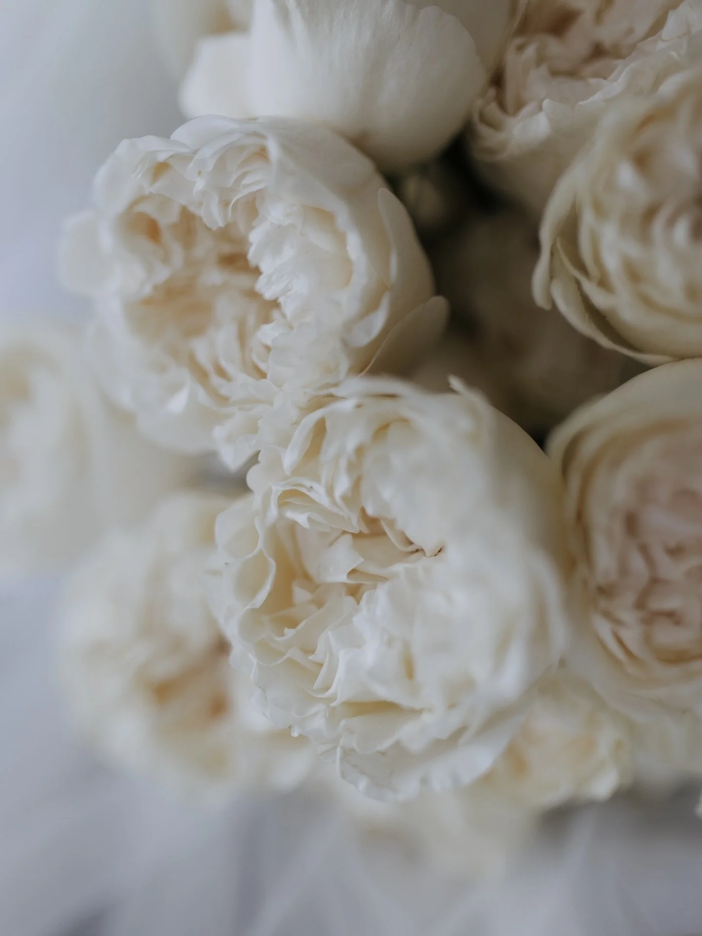 The joys of living in the country&hellip; when your starlink is down&hellip; you cannot function online! I&rsquo;m so sorry for anyone waiting on a reply from me, I can see all of your emails and will do my best to get back to you as soon as possible