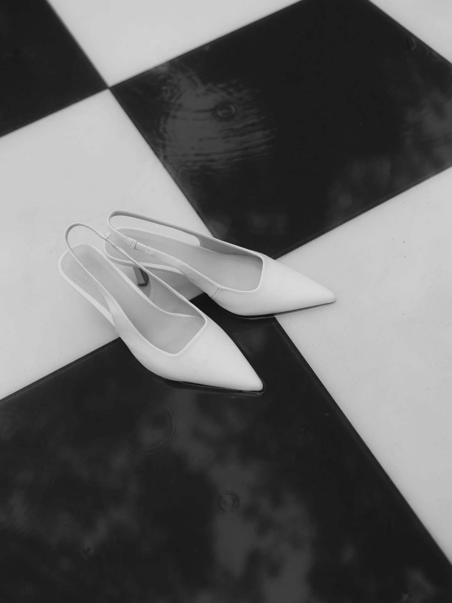 A misty summers day in the beautiful gardens of @gabbinbar 🤍