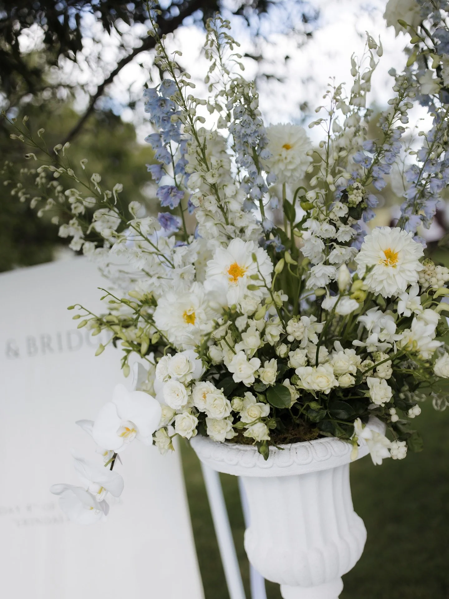 Adore all the glorious florals that are @dunkerryflora 🤍
.
.
.
.
.
.
.
.
#bridetobe #weddinginspo #tietheknot #weddingphotography #countrywedding #countryweddingphotographer #luxurywedding #destinationwedding  #realwedding #toowoombawedding #brisban