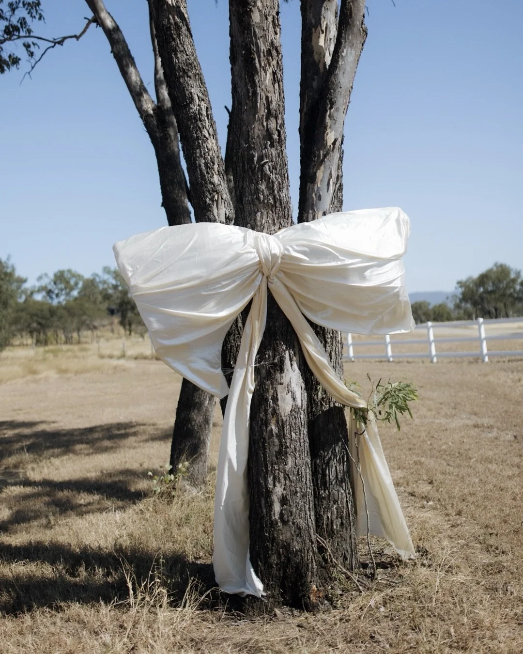 No marble entranceways or city lights&hellip; just big trees, open skies, the country air and a silk bow catching the afternoon breeze. How to style a country wedding 101 🤍

@zannyross 
@mark_simmons98 
@forestvale_station 
@say_i_do_celebrancy 
@gl