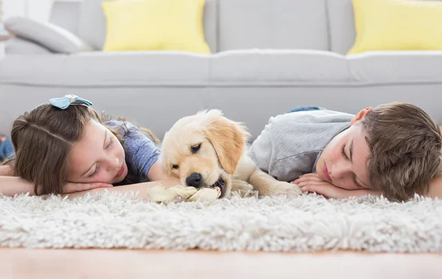Saving Water in Colorado: Why One Clean Co's Low-Moisture Carpet Cleaning Makes a Difference