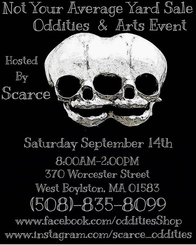 Who&rsquo;s looking for odd and spooky goodies this season?! Check out @scarce_oddities sale this weekend!
.
.
#scarce #odditiesshop #artifacts #spookyshop  #notyouraverageyardsale