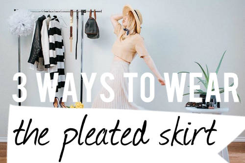 the-pleated-skirt.jpg