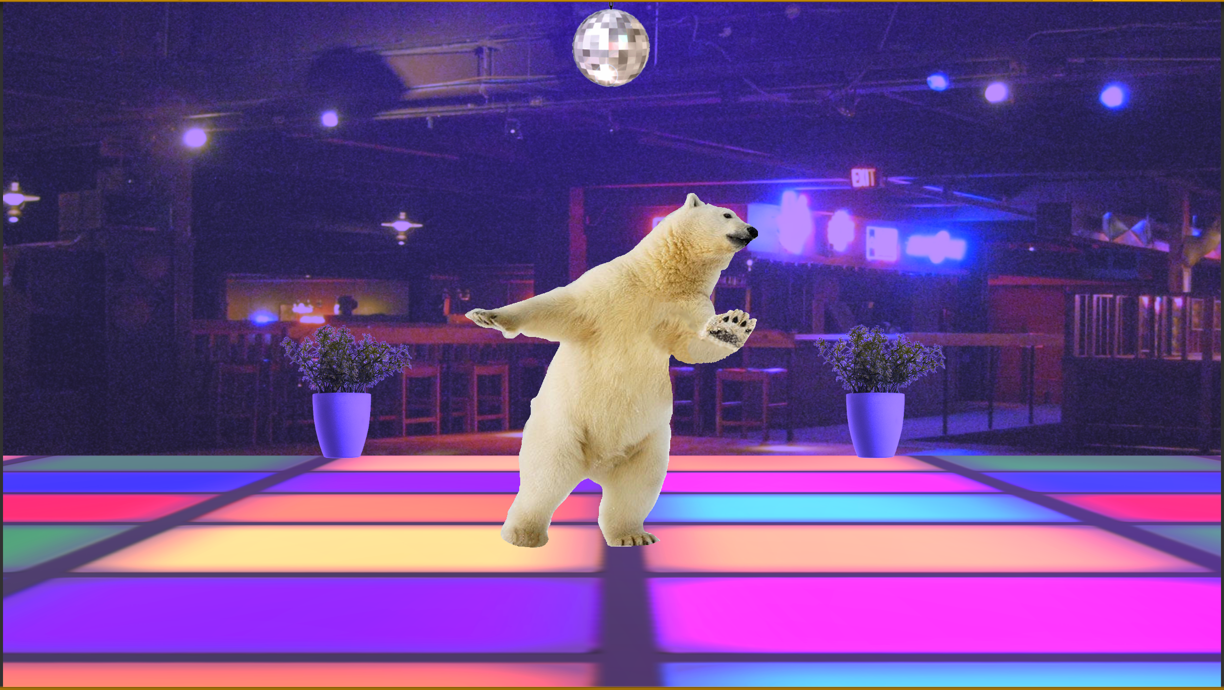 discobear1.png