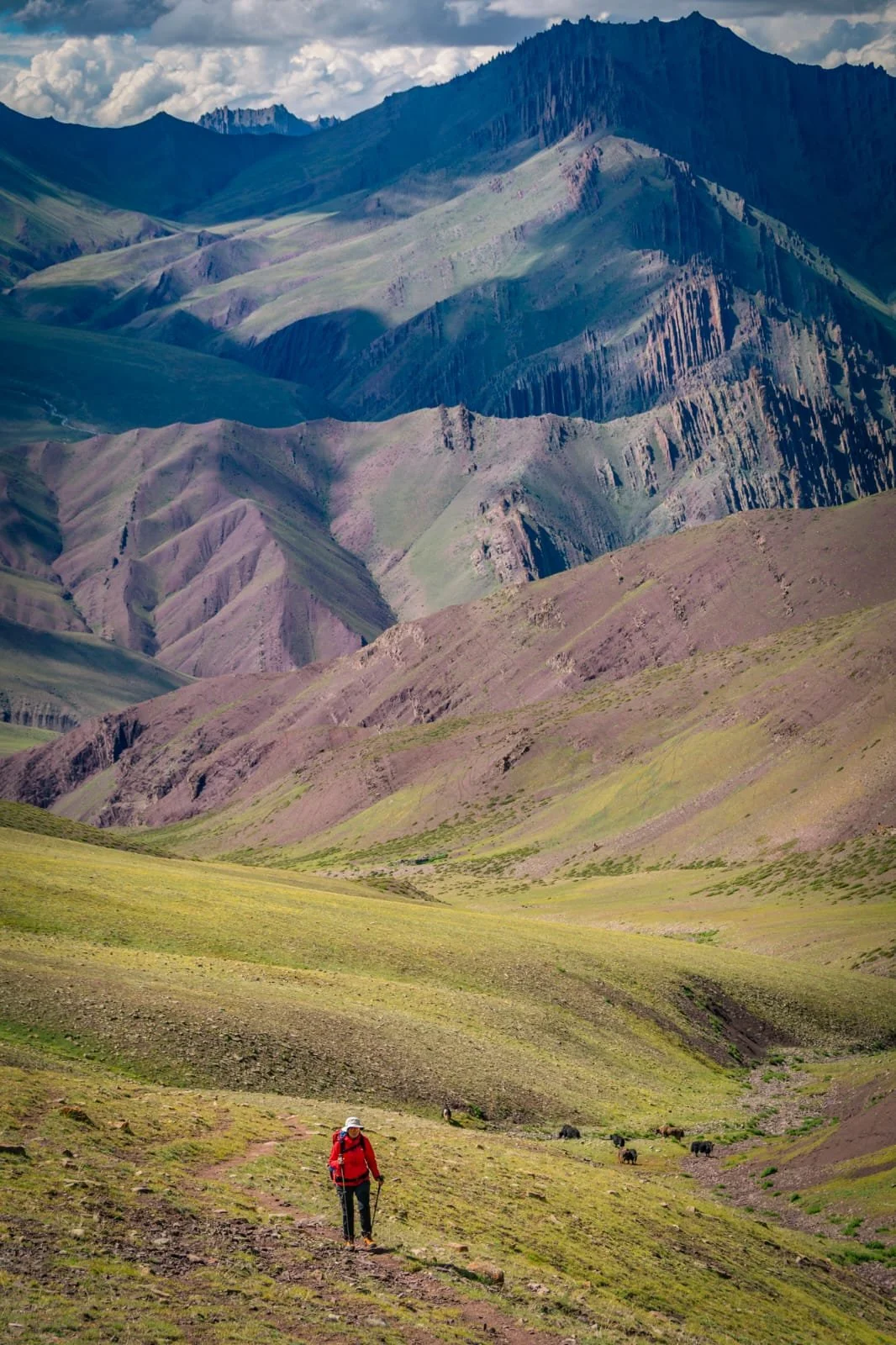 Ladakh: A Trek Through Love, Longing, and Life