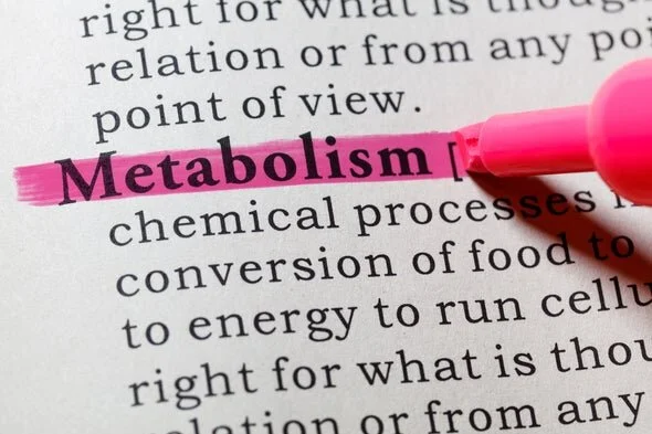The top 7 natural metabolism boosters