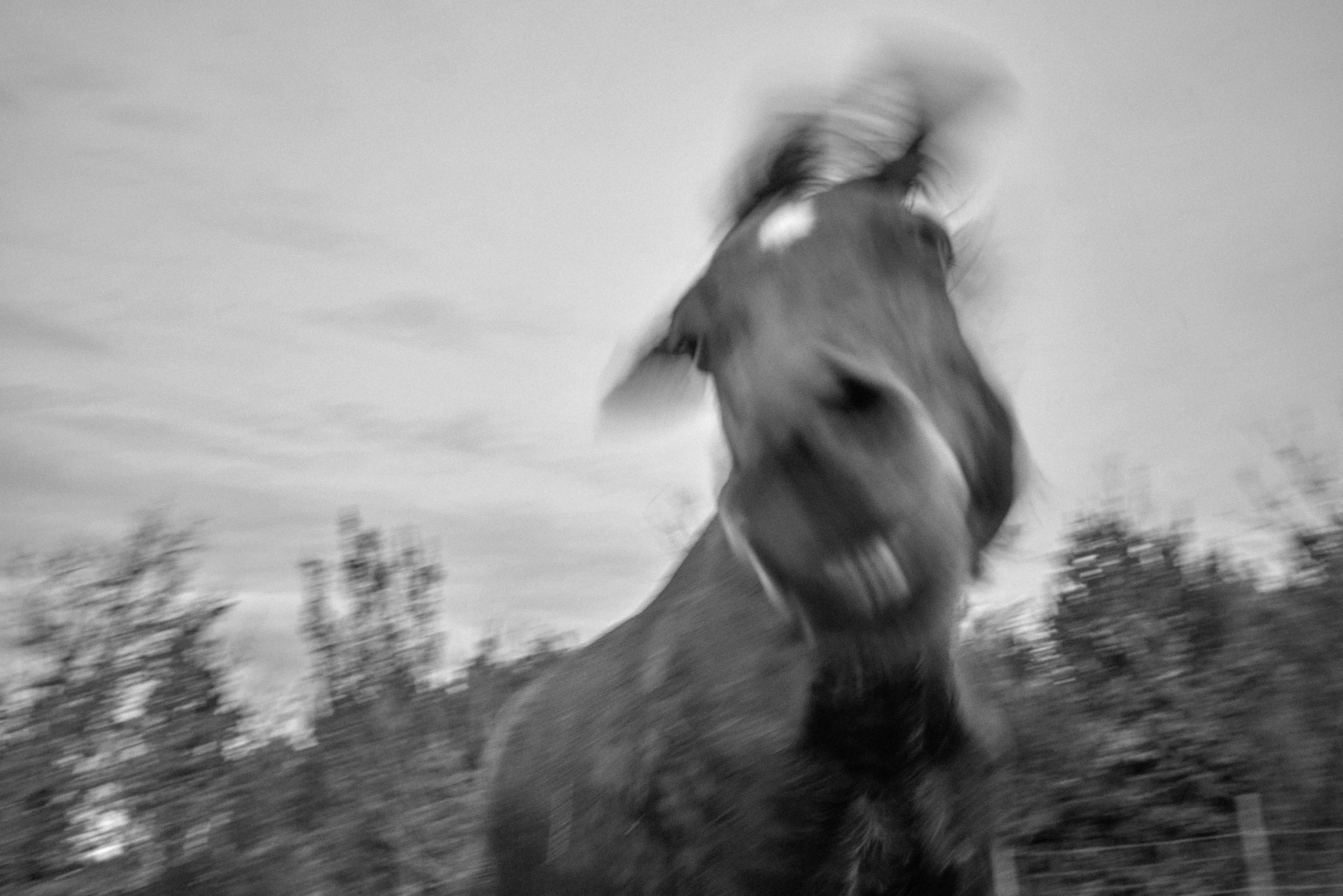 DSCF3093nb.jpg