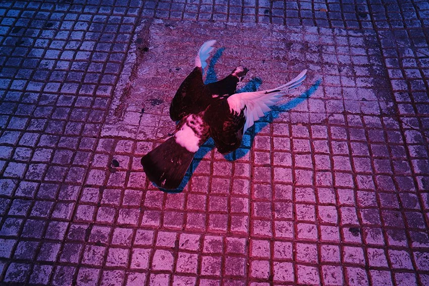 DSCF2560.jpg