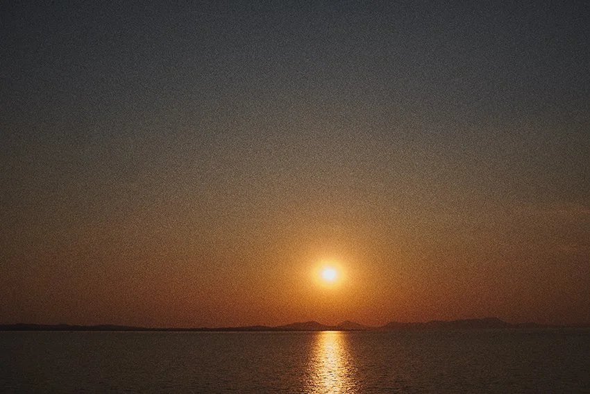 DSCF7229.jpg