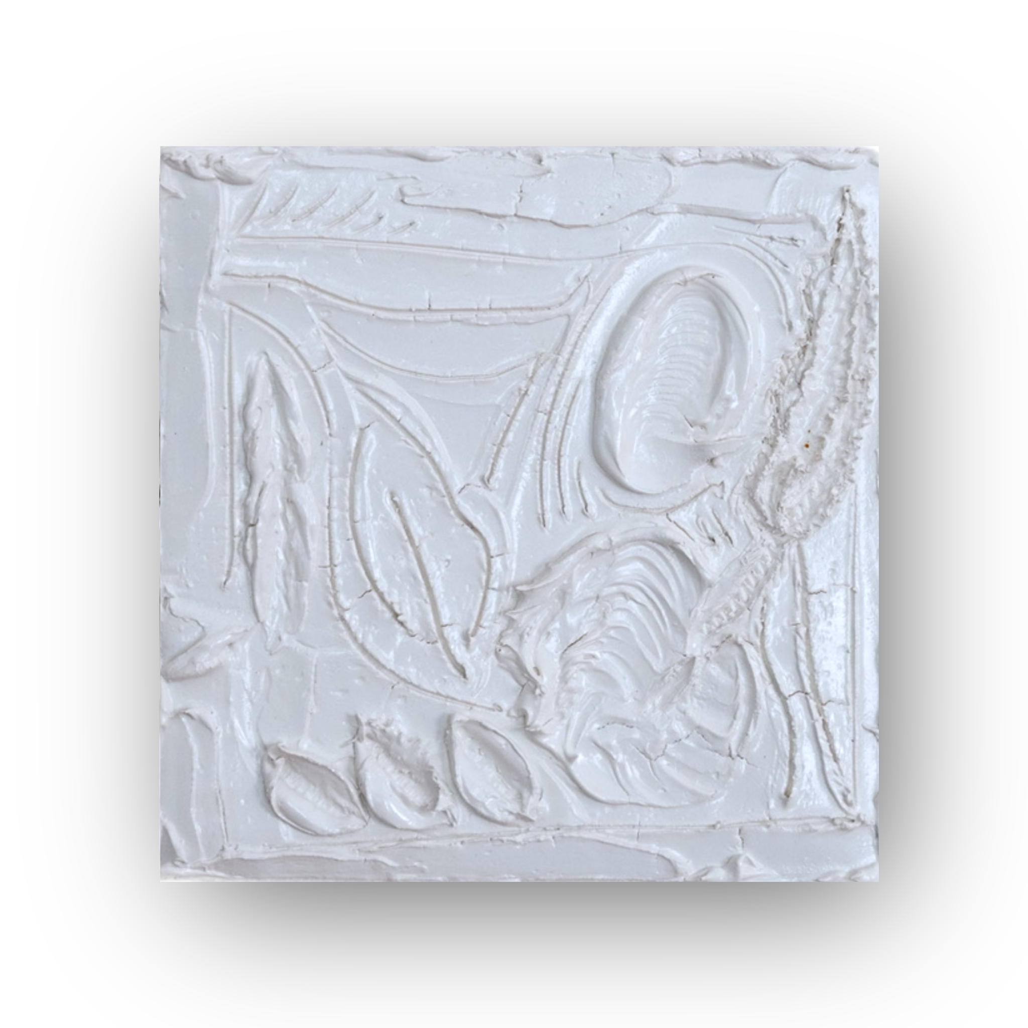 Budding - Pussy PORTAAL