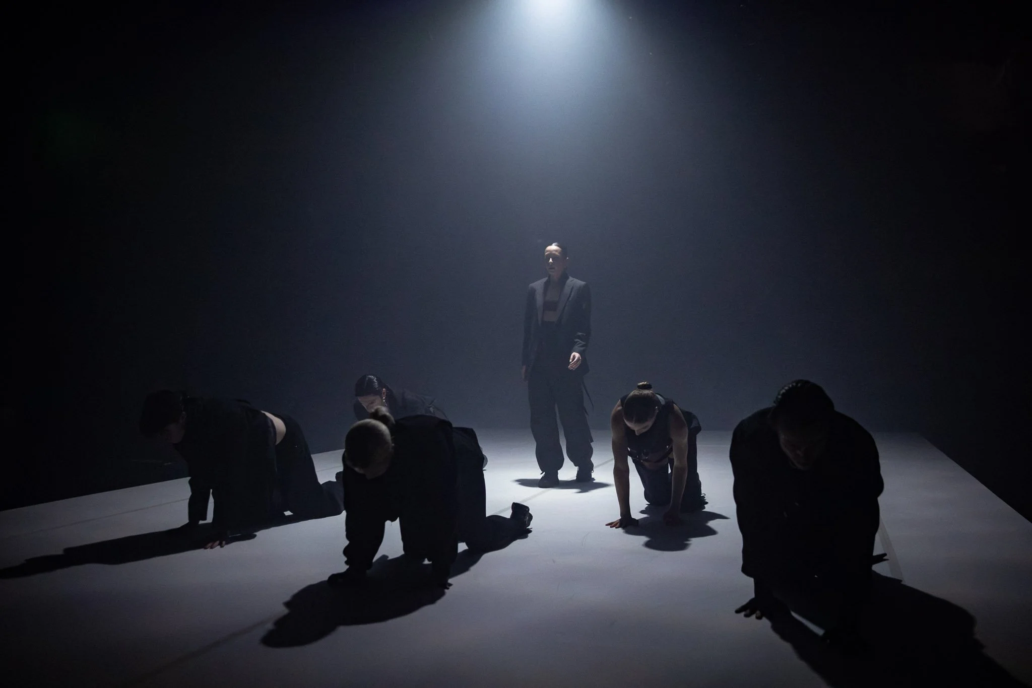 Alpha Mutt  |   Sydney Dance Company