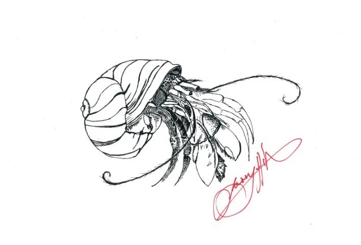 Hermit crab with signature.JPG