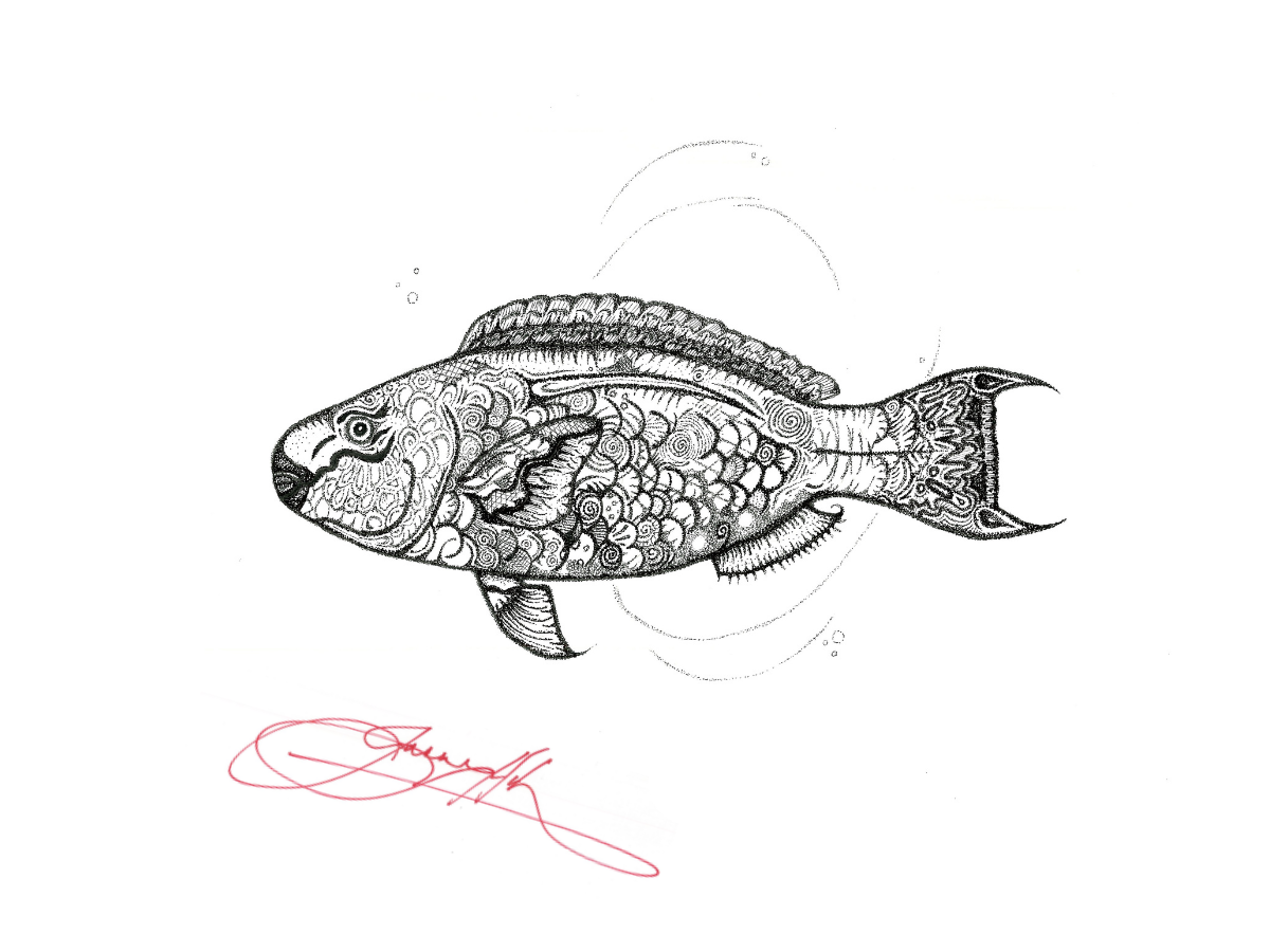 Parrotfish.png