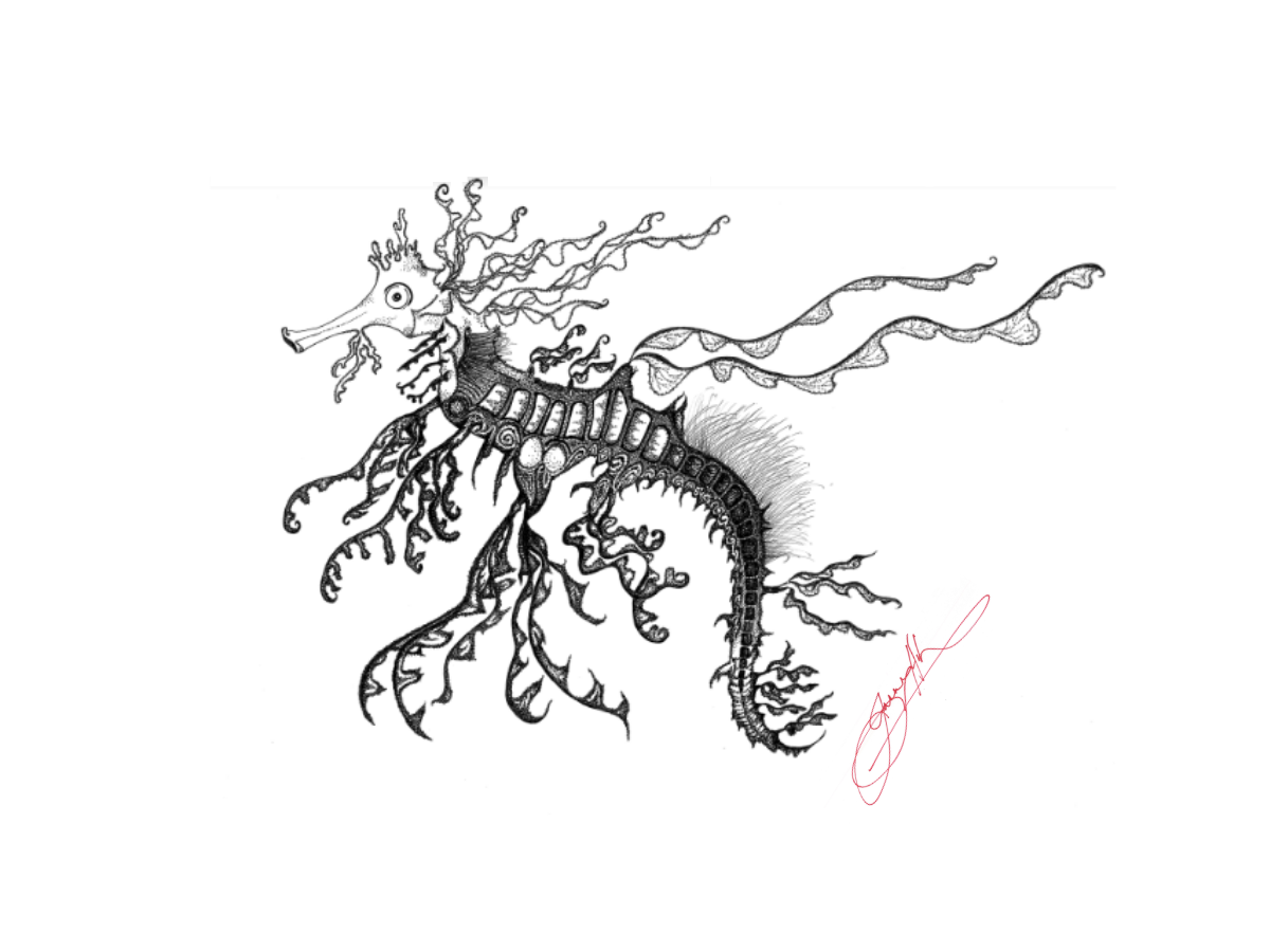 Leafy Seahorse.png
