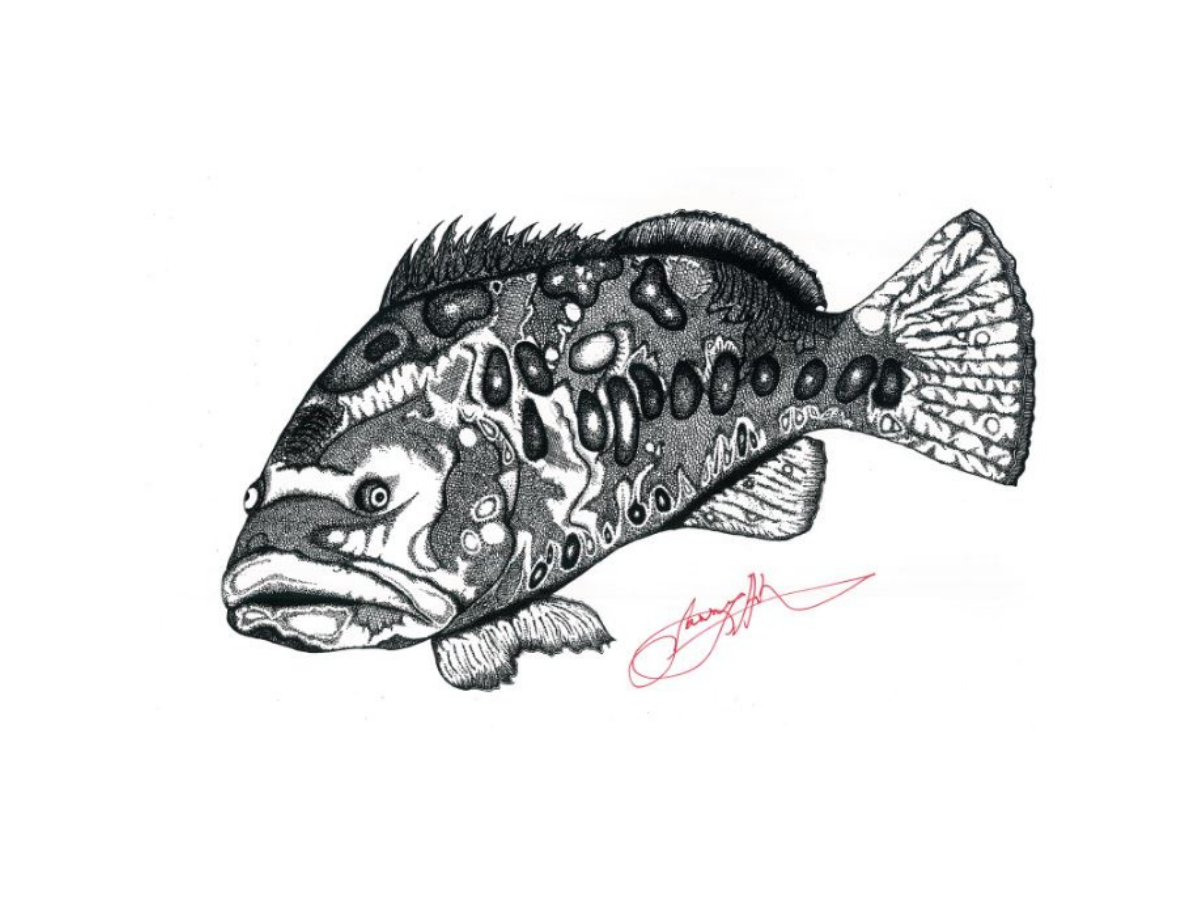 Grouper.png