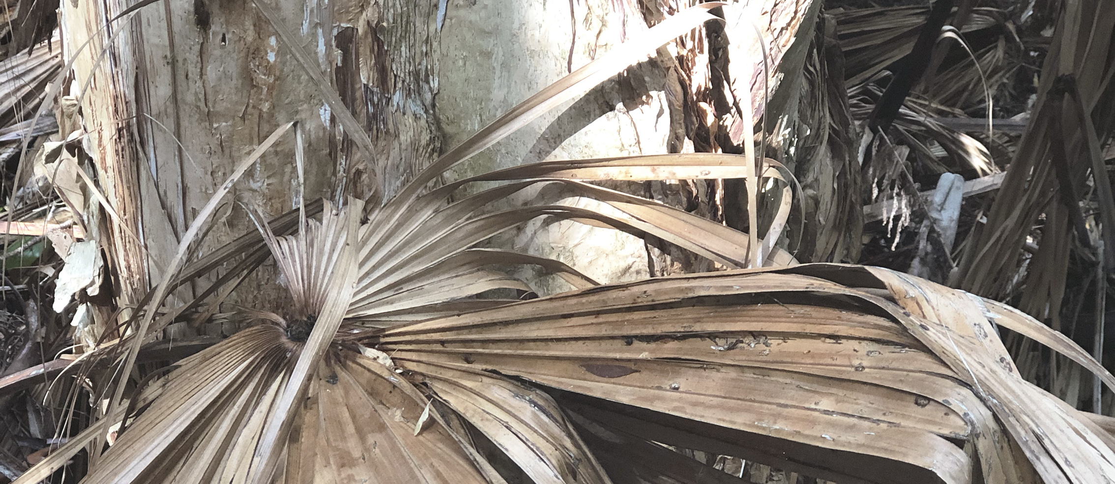 texture3.jpg