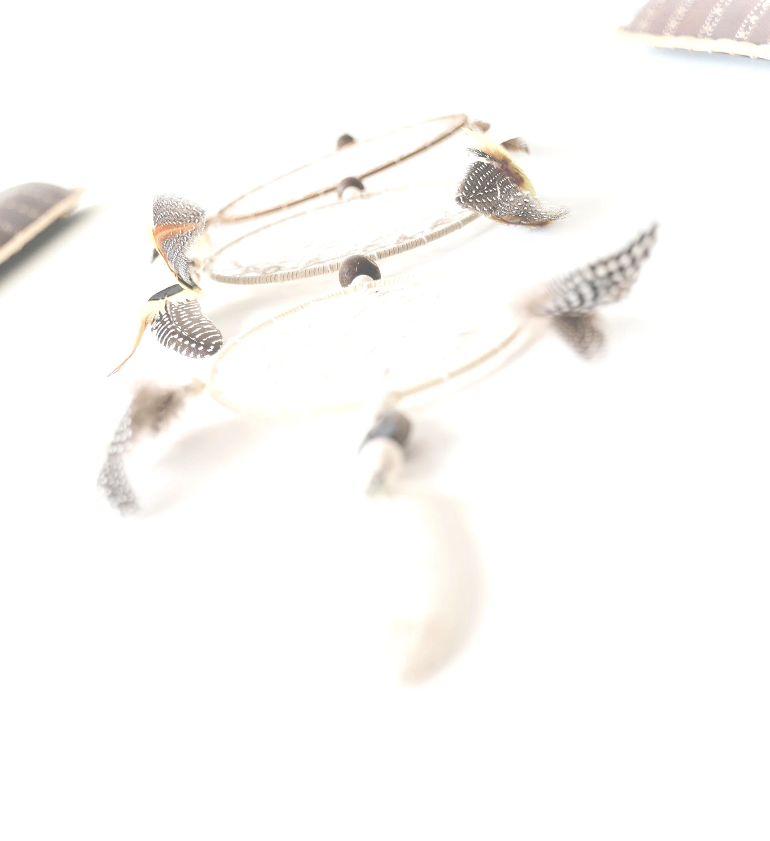 _DSC0782.jpg