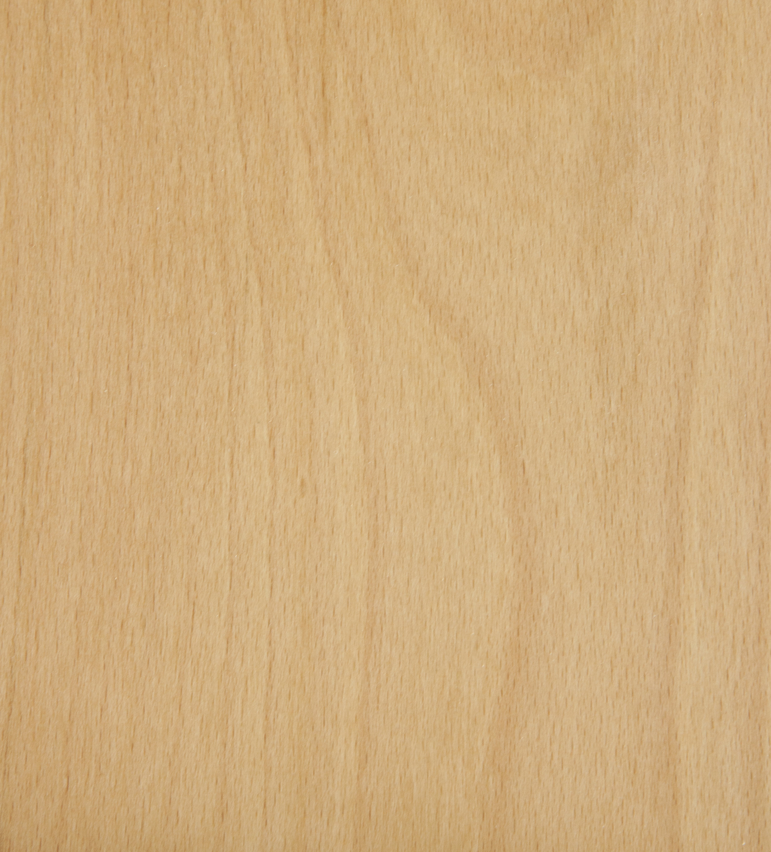 Crown Cut Steamed Beech