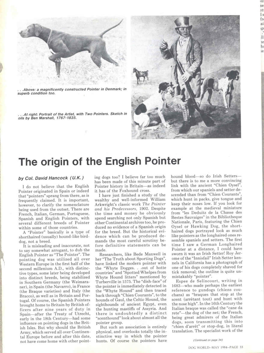 Magazine article The Origin of the English Pointer.jpg