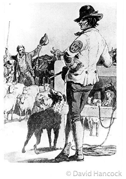 1177 THE DROVERS AND THEIR DOGS — This site is dedicated to Colonel ...