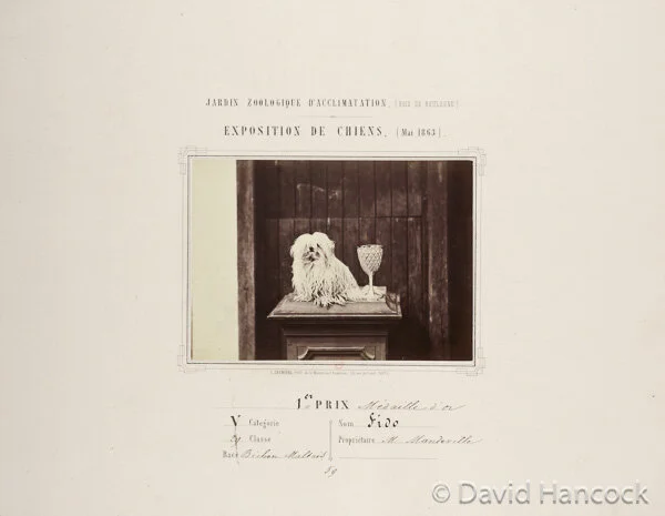 MALTESE OF 1863 -  LONG UNSIGHTED