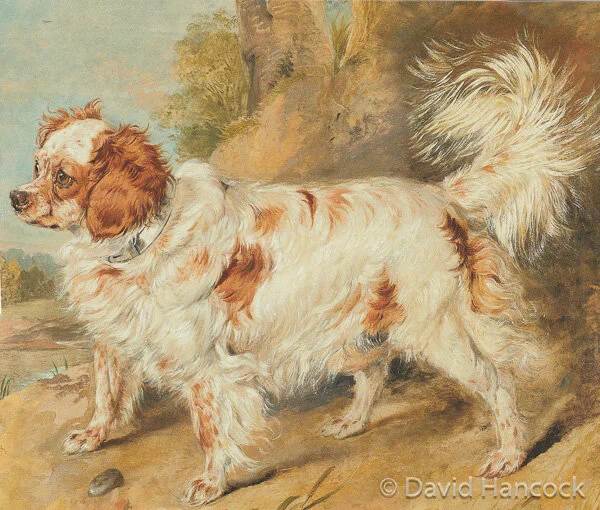 BLENHEIM SPANIEL (Landseer)