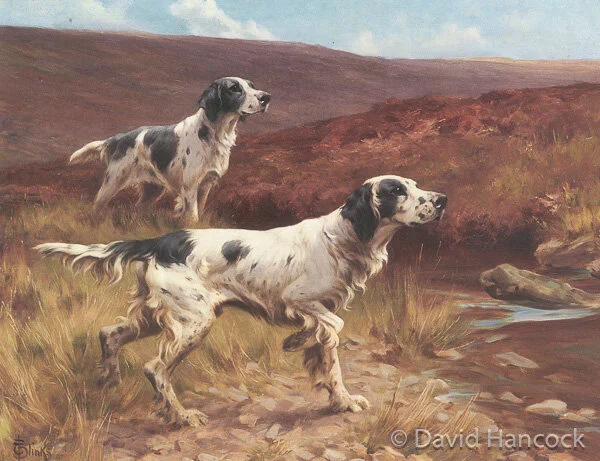 Setters seeking air scent