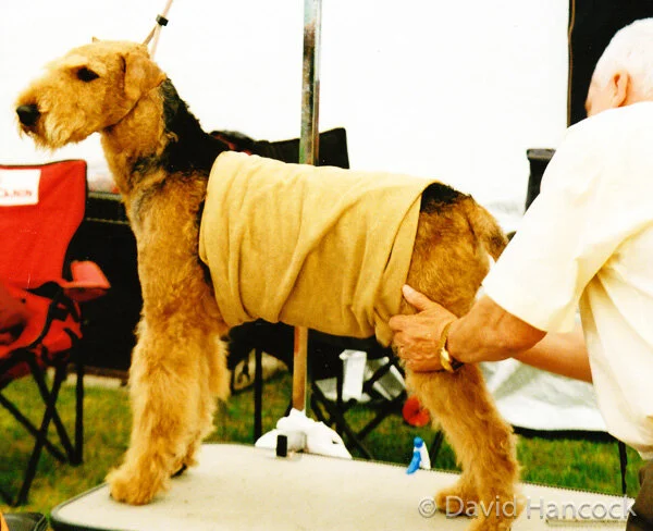 Exhibit endures endless show-preparation