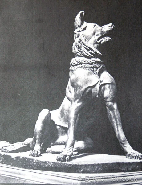 Laconian Spartan Hound Laconian Spartan Hound