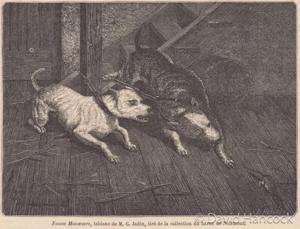 BULL TERRIERS OF 1862