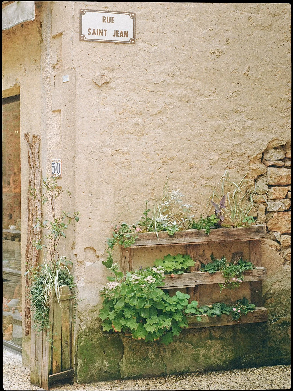 PLANTS_BUILDING_BORDER.JPG