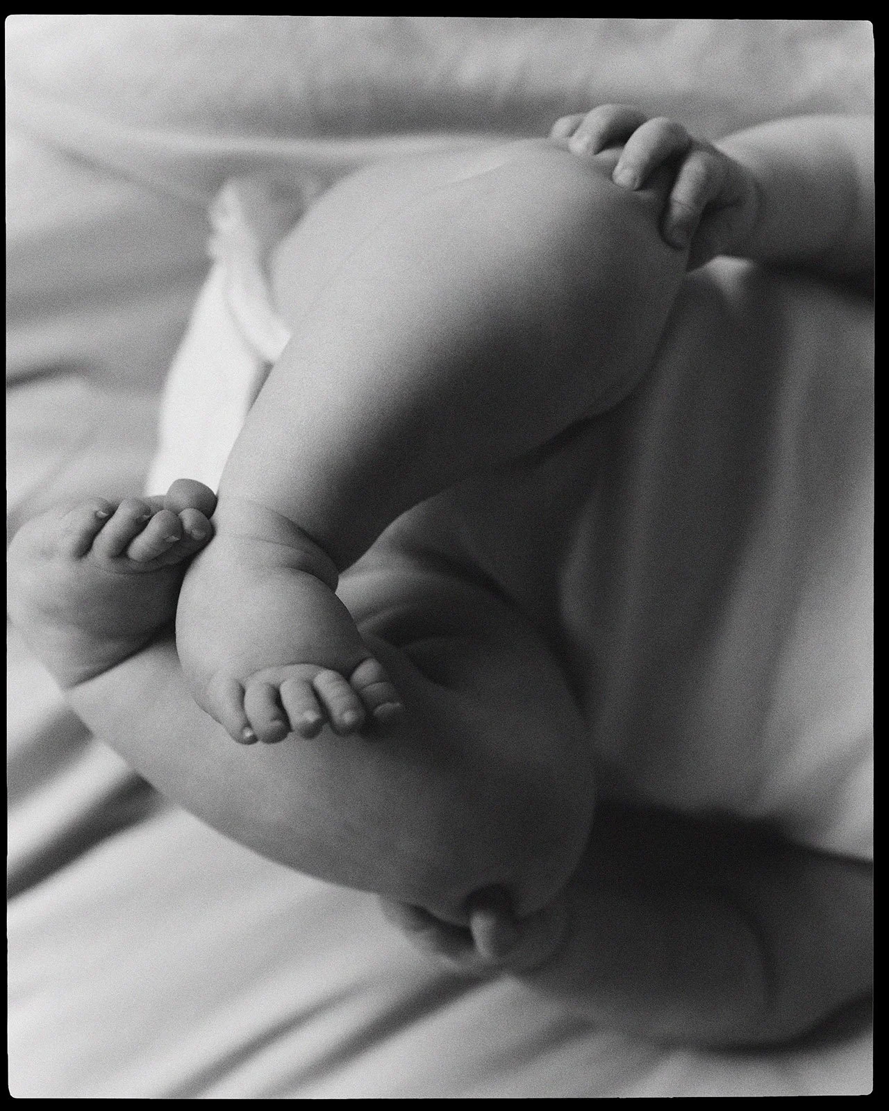 JONI_BW_5_BRDR.jpg