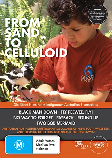 From Sand to Celluliod.jpg