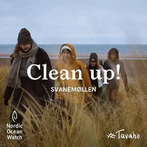 Cleanup! - Svanemøllen