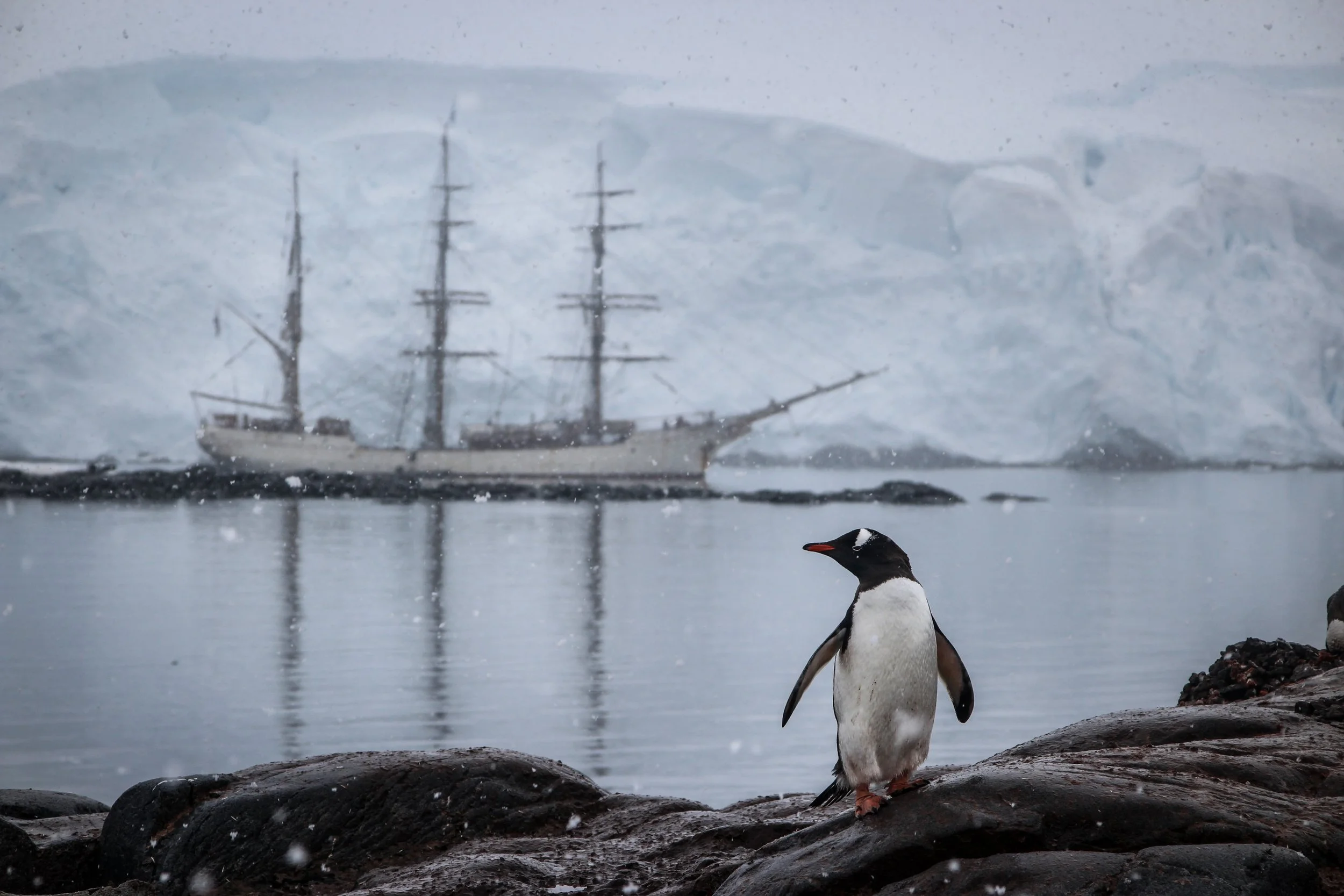 The Antarctic Expedition