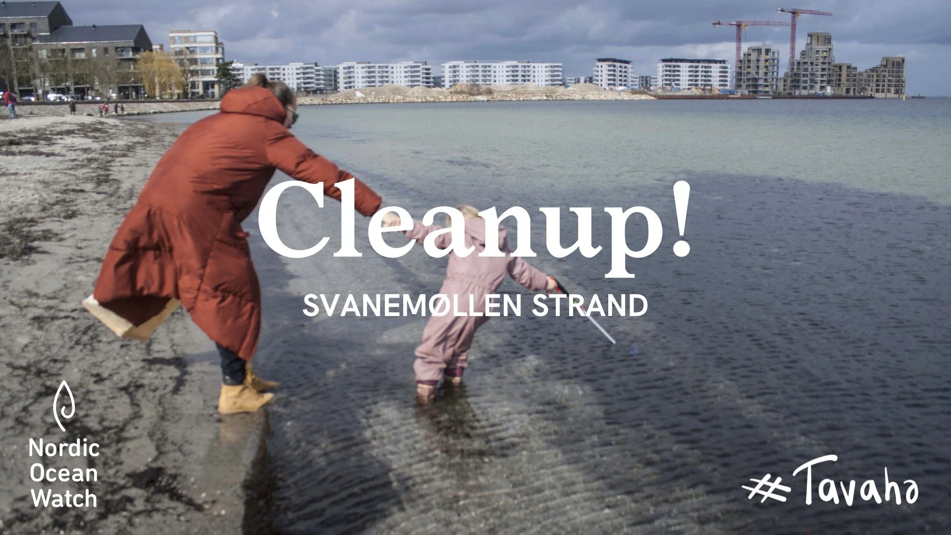 NOW Spring Cleanup and FREE Sauna