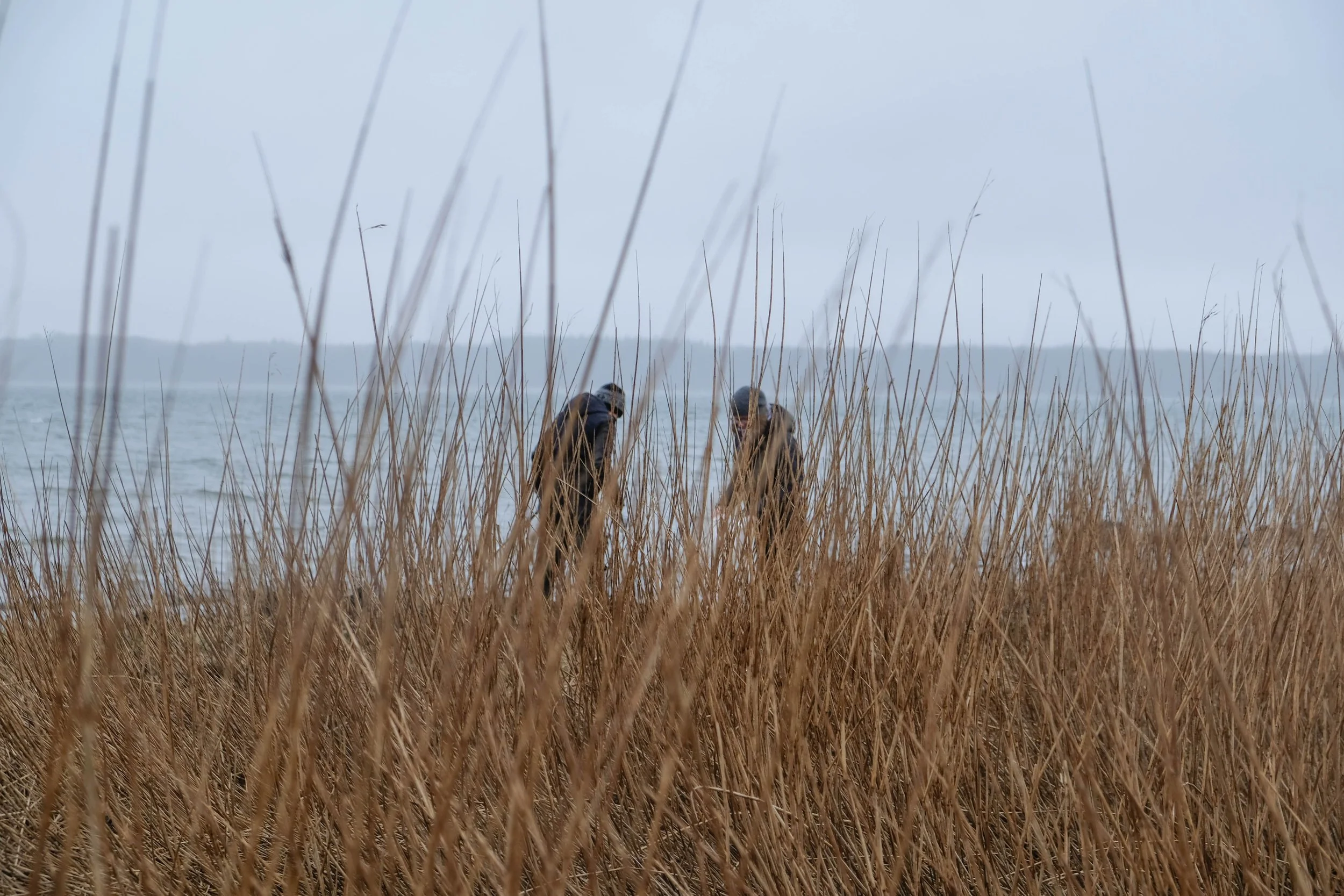 Open Space Conference