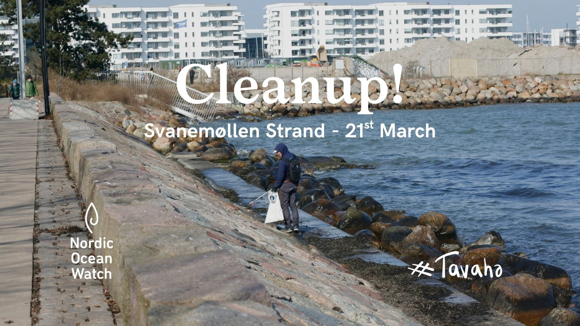 NOW Beach Cleanup and Free Sauna