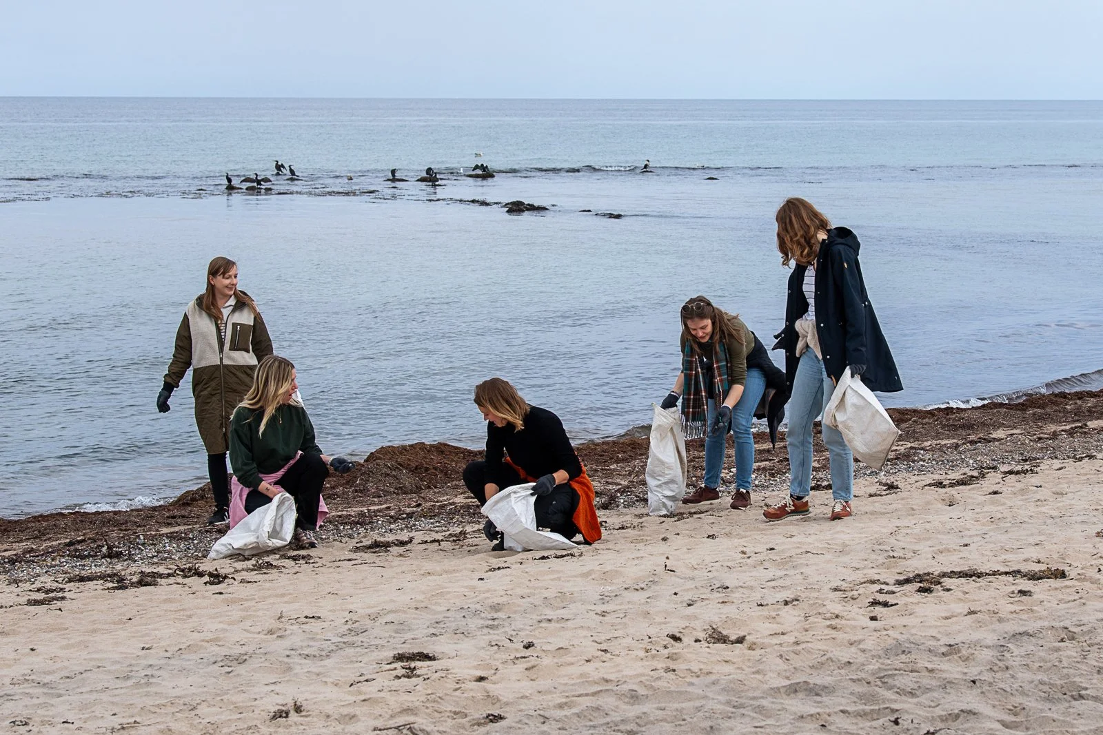 Cleanup &amp; children's book launch at Damhussøen