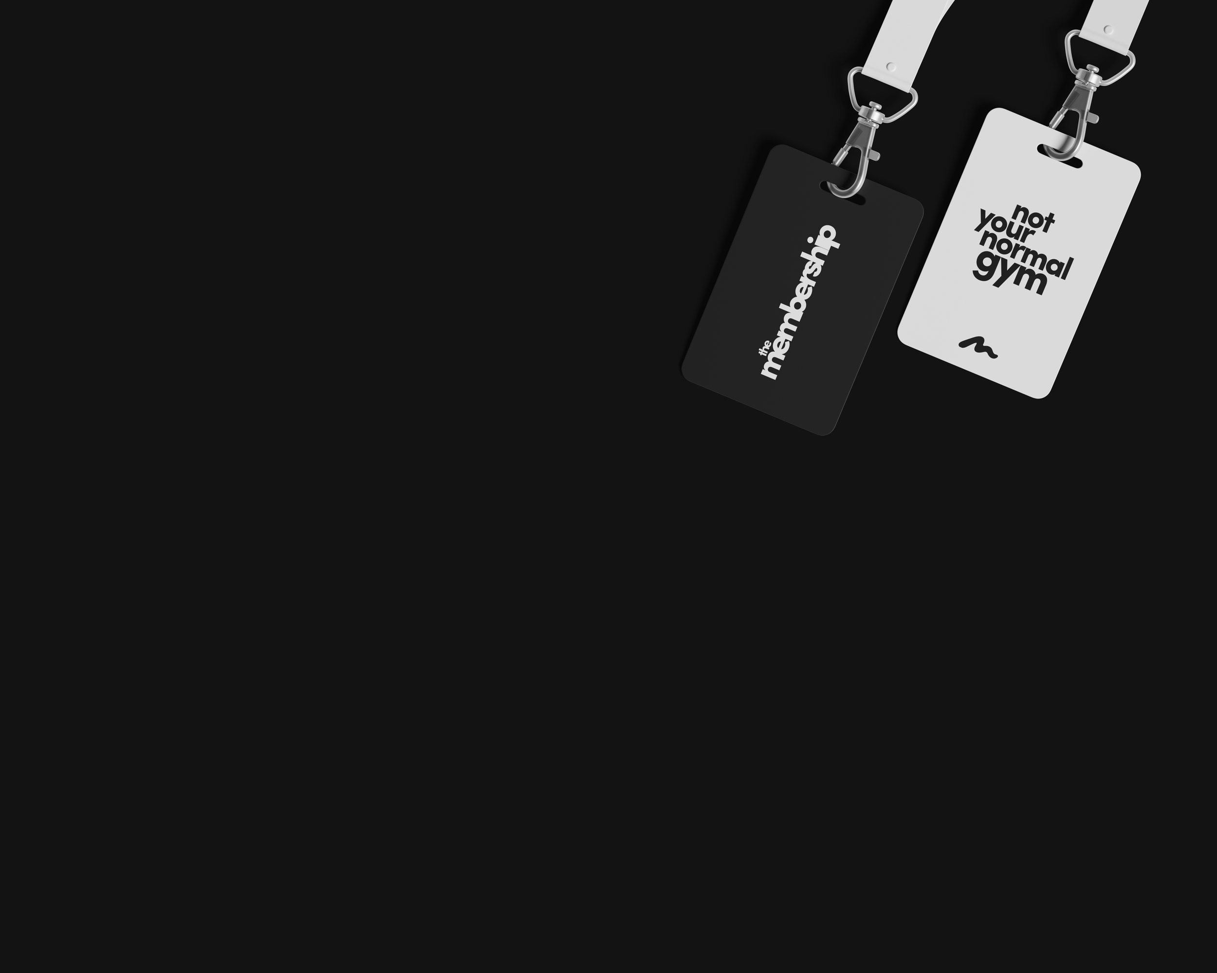 Lanyards bg.png