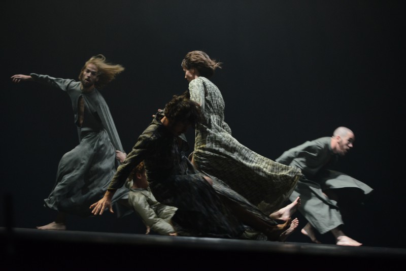 ¿ DANSE CONTACT : DONT ACTE ?