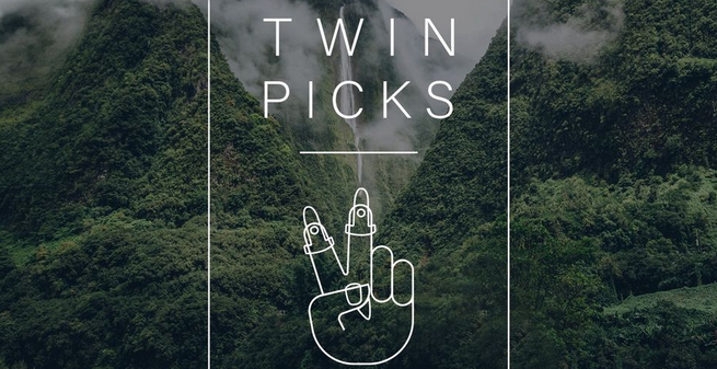 CONCERT / BLUES , SWING, RAGTIME / TWIN PICKS