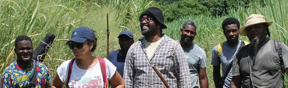 CONCERT / MALOYA POWER / LINDIGO
