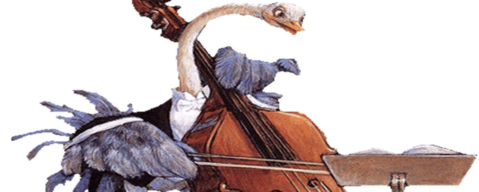 CONCERT / JAZZ / KAPALU