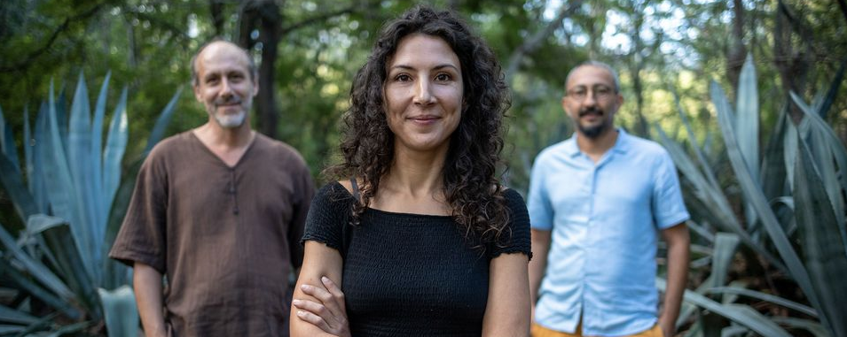 CONCERT / INSTRUMENTAL JAZZ / LISE VAN DOOREN