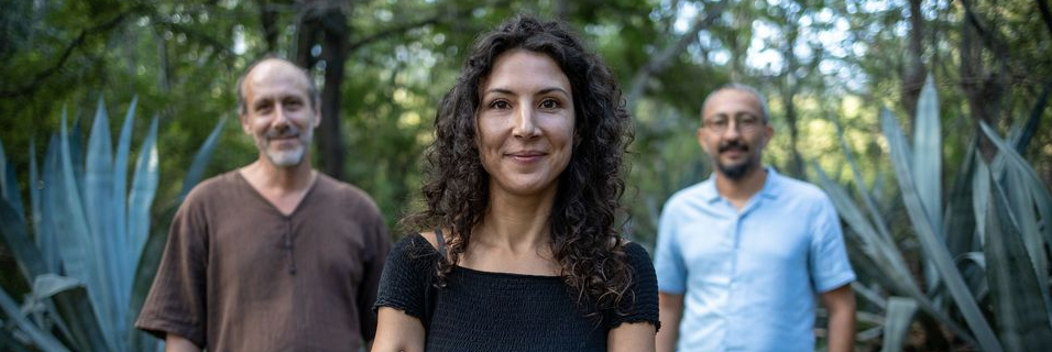 CONCERT / JAZZ / LISE VAN DOOREN TRIO