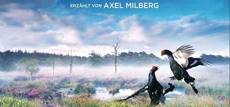 PROJECTION / INTERMÈDES NATURE / LA MAGIE DES TOURBIÈRES