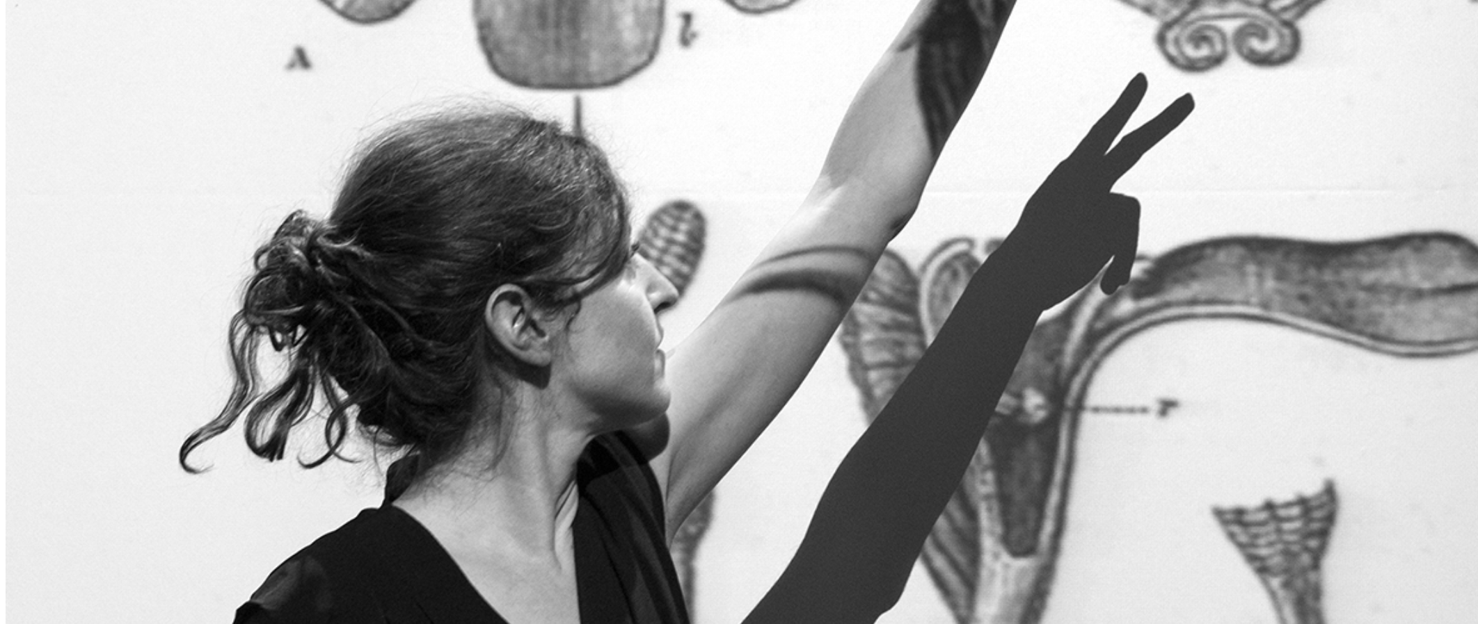 L’Amicale – Sofia Teillet / DE LA SEXUALITÉ DES ORCHIDÉES