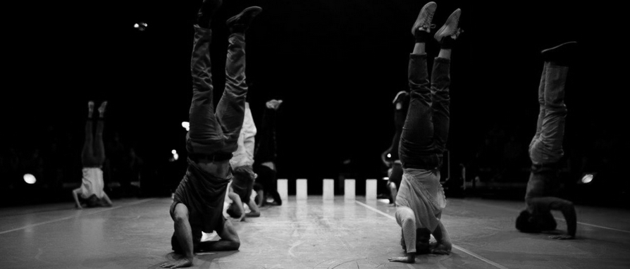 CIRQUE / CARTE BLANCHE À CIRQUONS FLEX / TOUT AN CIRK